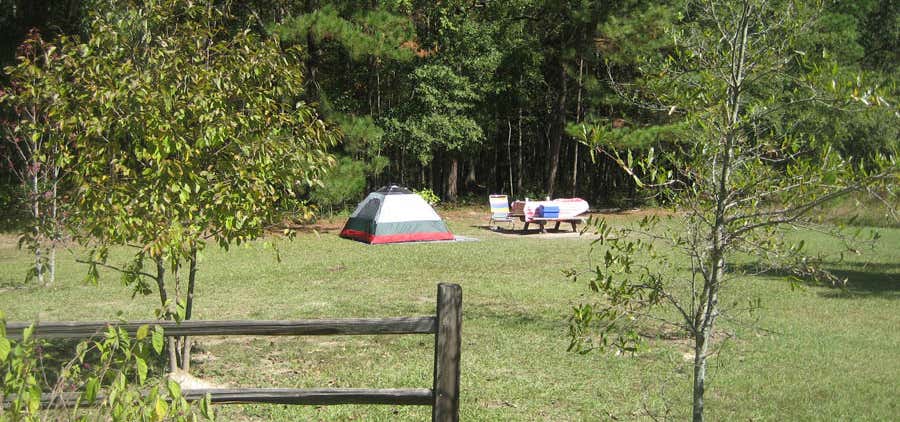 Photo of Longleaf Campground