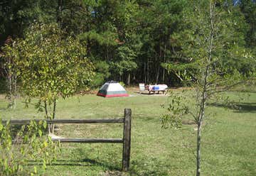 Photo of Longleaf Campground