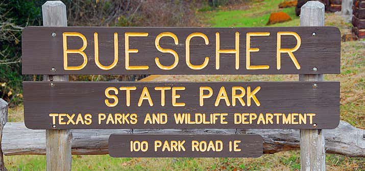 Photo of Buescher State Park Campground