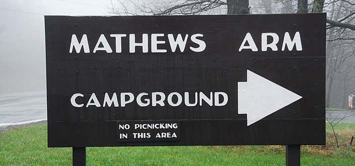 Photo of Matthews Arm Campground