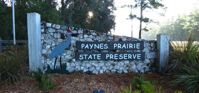 Photo of Paynes Prairie State Preserve Campground