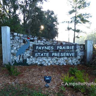 Paynes Prairie State Preserve Campground