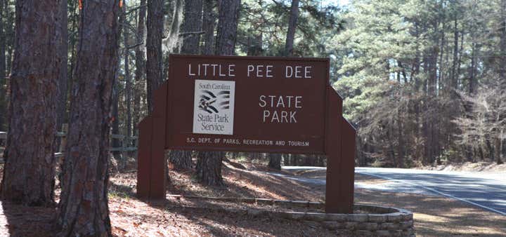 Photo of Little Pee Dee State Park Campground