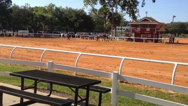 Clarcona Horse County Park Apopka Fl Roadtrippers