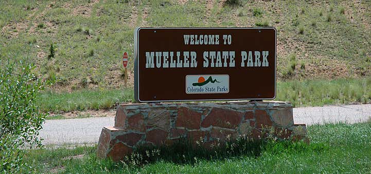 Photo of Mueller State Park Campground