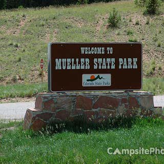 Mueller State Park Campground