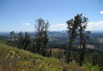 Photo of Bald Peak Scenic Viewpoint