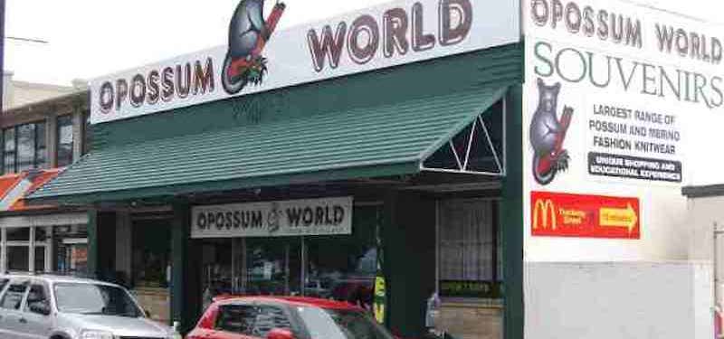 Photo of Opossum World