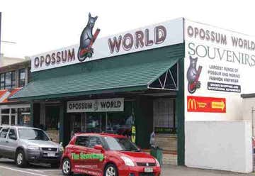 Photo of Opossum World
