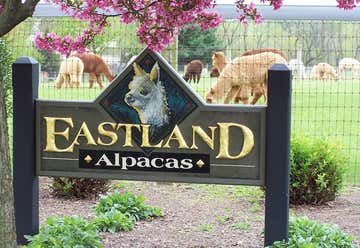 Photo of Eastland Alpacas