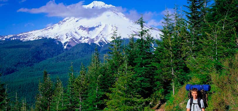 Photo of Mt Hood National Forest