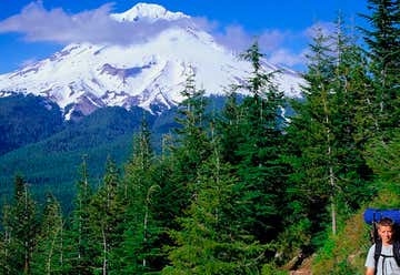 Photo of Mt Hood National Forest