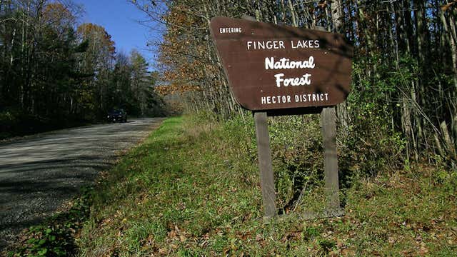 Finger Lakes National Forest Dispersed Camping