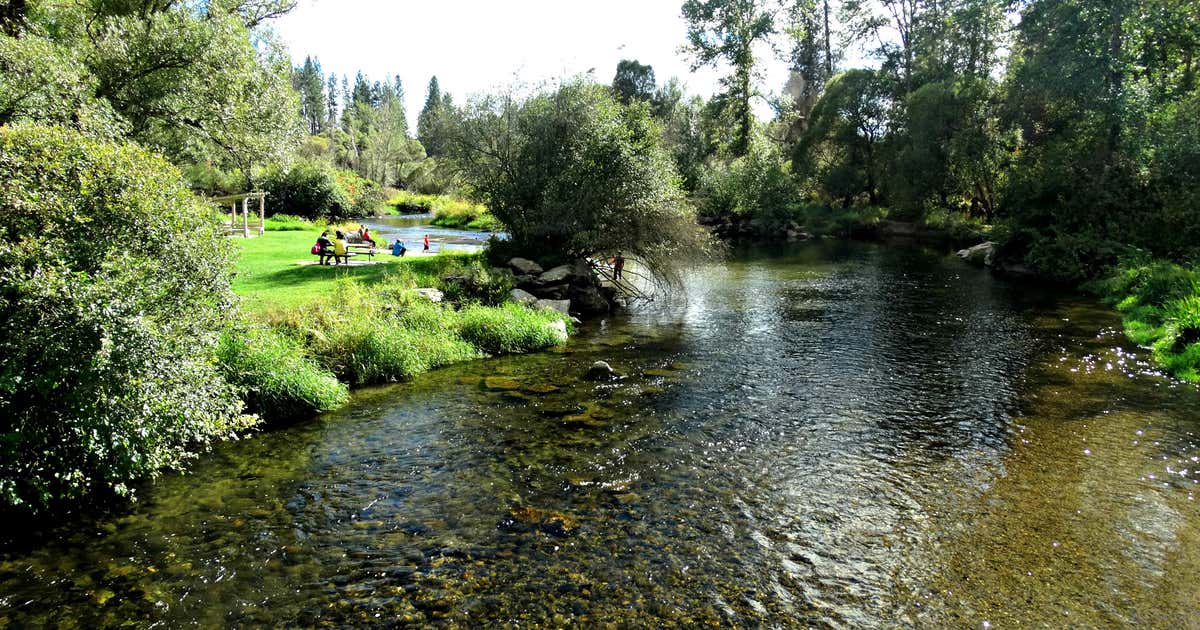 Парк река времени лобня фото