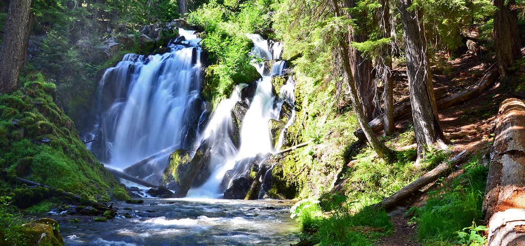 Photo of Diamond Creek Falls