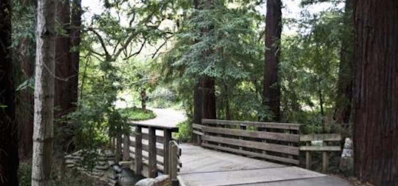 Photo of Redwood Grove Nature Preserve
