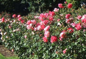 Photo of Owen Memorial Rose Garden