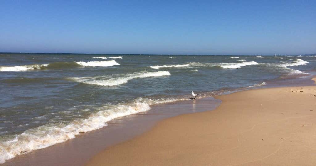 Saugatuck Oval Beach, Saugatuck Roadtrippers