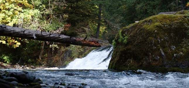 Photo of Salmon Creek Falls