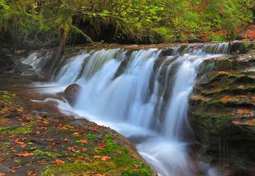 Photo of Sweet Creek Falls