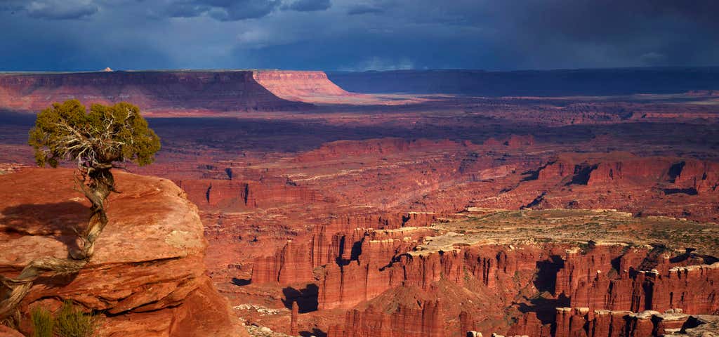 Photo of Moab