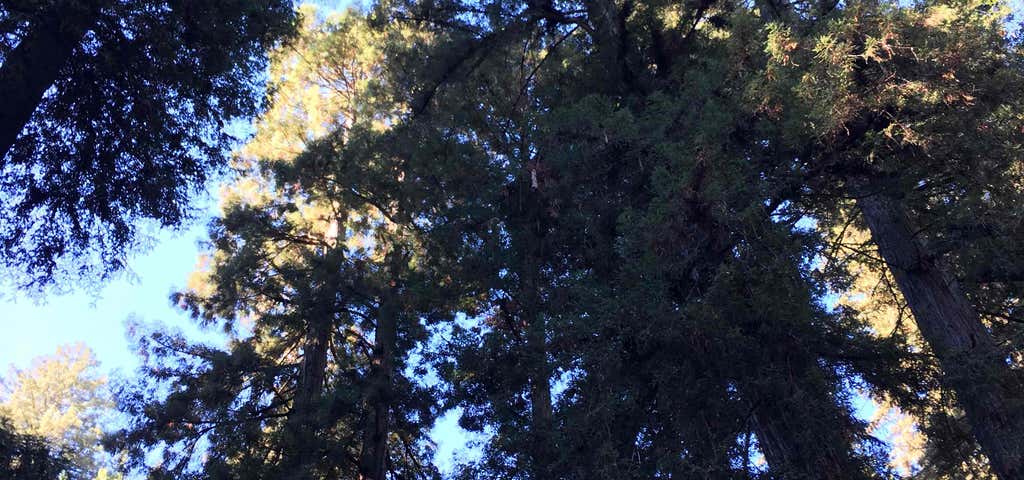 Photo of Armstrong Redwoods Visitor Center