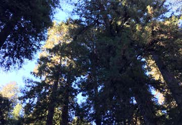 Photo of Armstrong Redwoods Visitor Center
