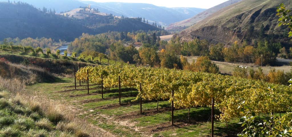 Photo of Colter's Creek Vineyard and Winery