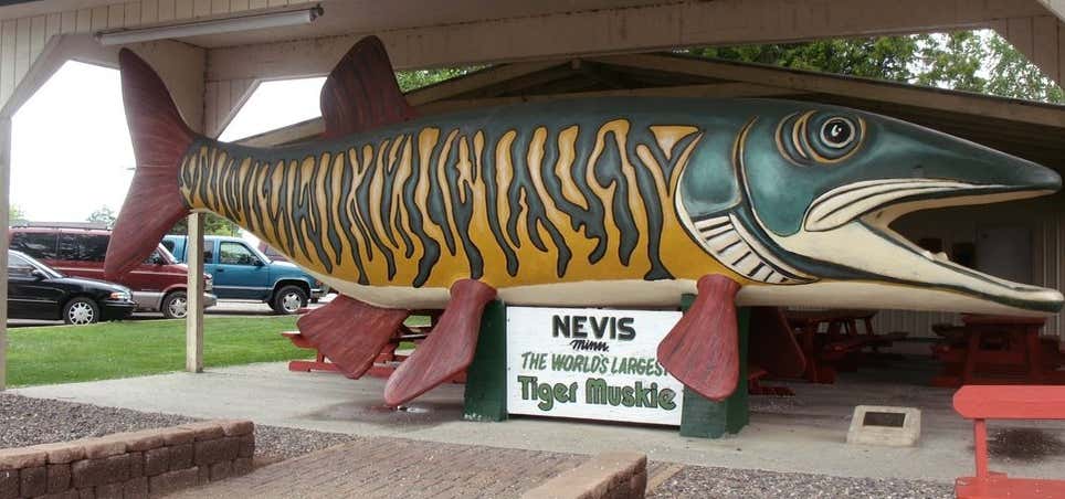 Photo of World's Largest Tiger Muskie