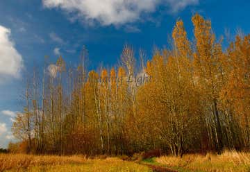 Photo of Minto-Brown Island City Park