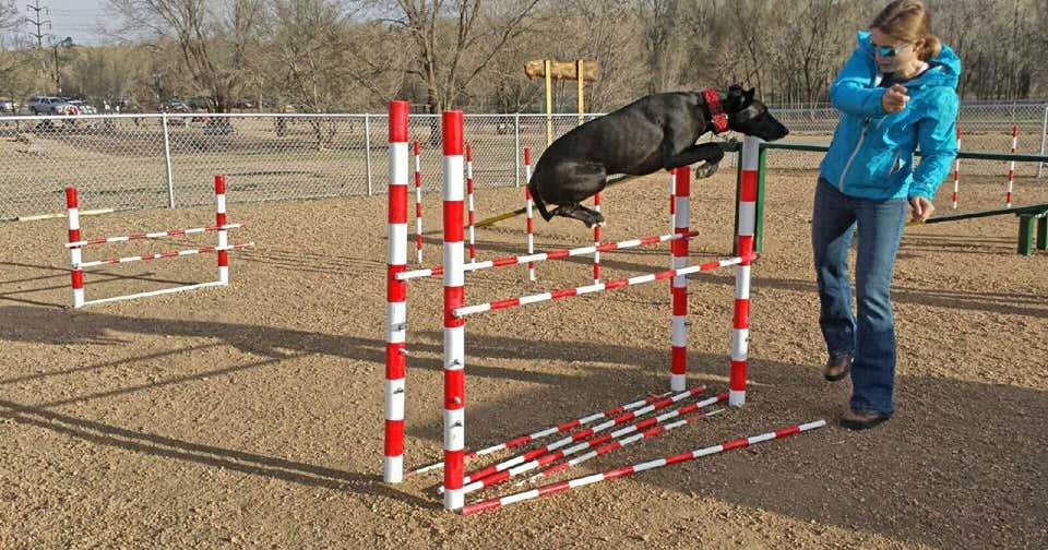 Bear Creek Dog Park, Colorado Springs Roadtrippers