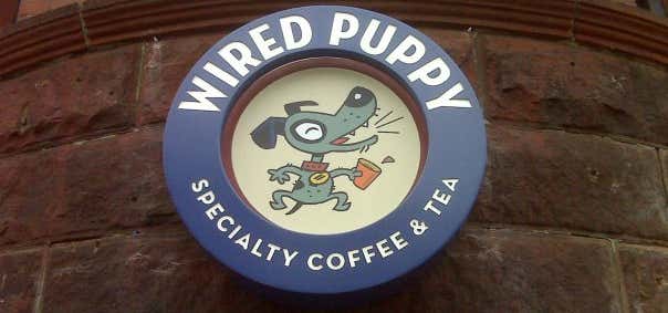 Photo of Wired Puppy