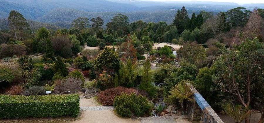 Photo of Blue Mountains Botanic Garden Mount Tomah