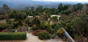 Blue Mountains Botanic Garden Mount Tomah