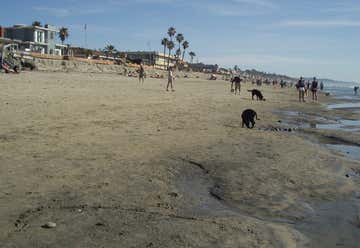 Photo of Dog Beach Del Mar