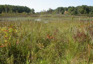 Photo of Cedar Swamp State Wildlife Management Area