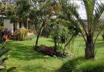 Photo of Wharepuke Sub tropical Garden