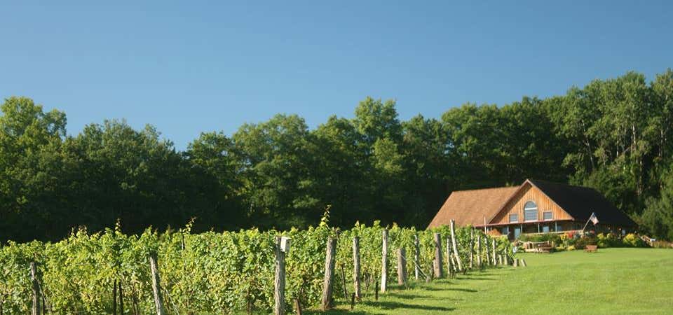 Photo of Buttonwood Grove Winery Cabins