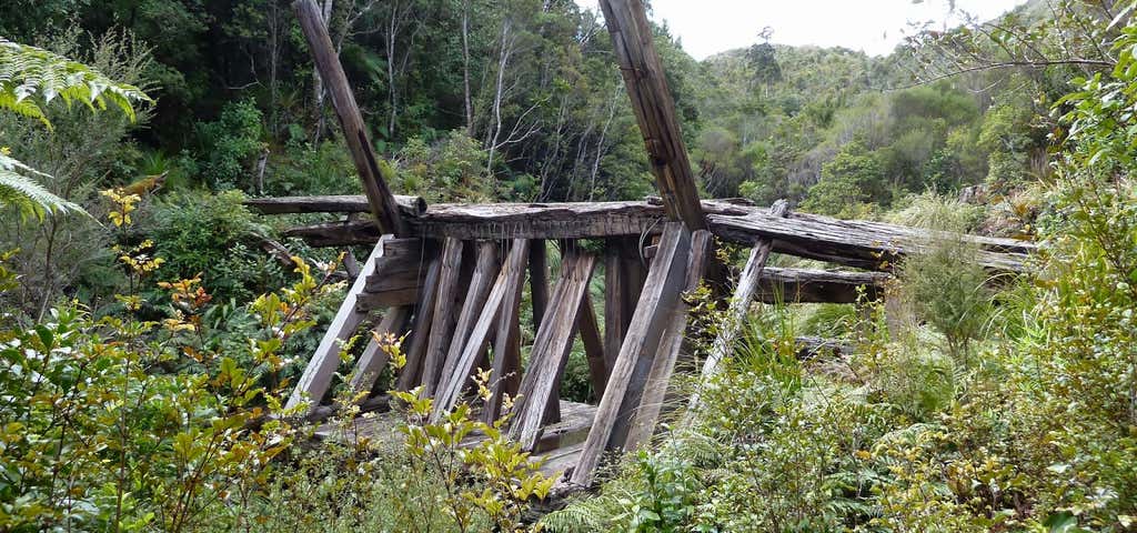 Photo of Kauri Dam Walk
