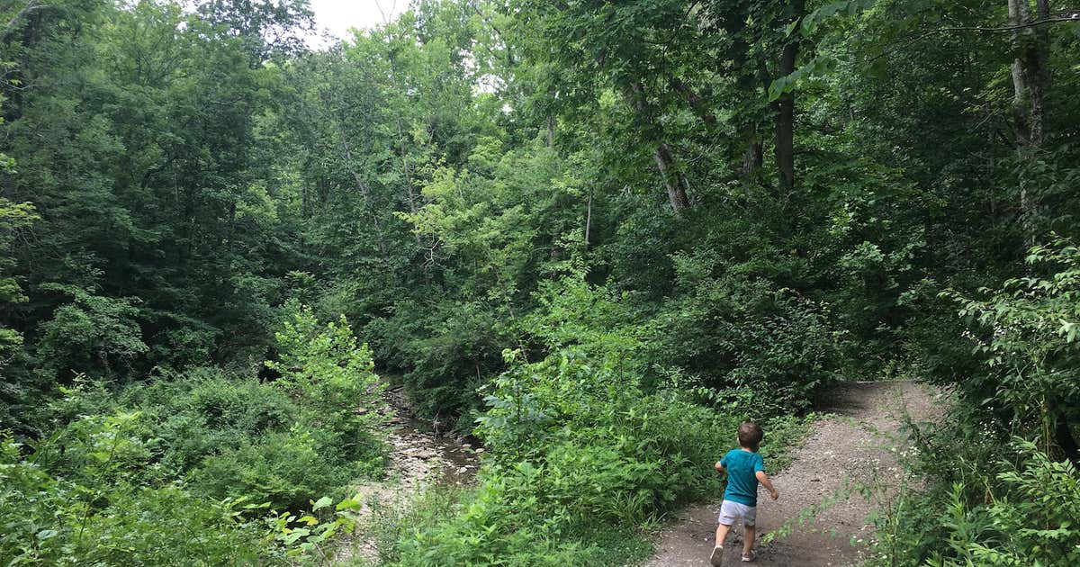 Redbird Hollow Preserve, Cincinnati Roadtrippers