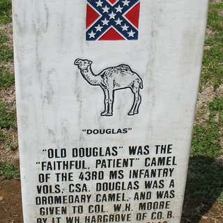 Grave of Douglas the Camel