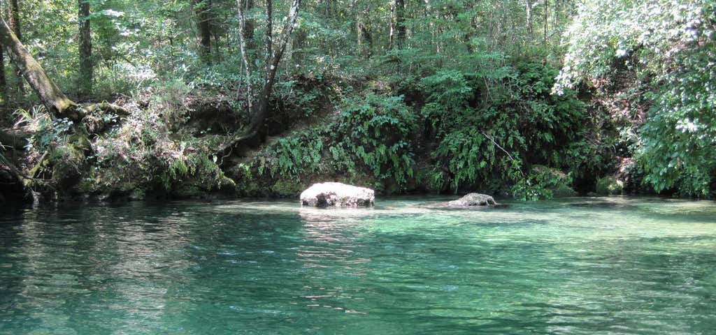 Photo of Econfina River State Park