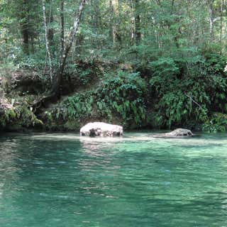 Econfina River State Park