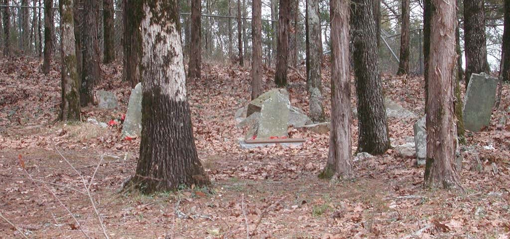 Photo of Old Dan Tucker's Grave