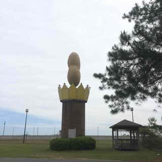 World's Largest Peanut!