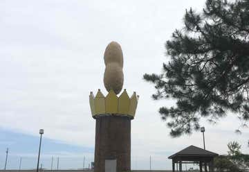 Photo of World's Largest Peanut