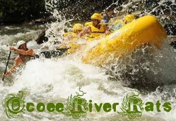 Photo of Ocoee River Rats