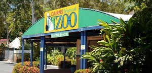 Cairns Night Zoo