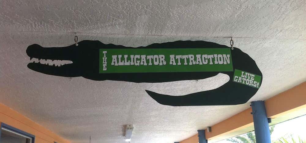 Photo of The Alligator Attraction
