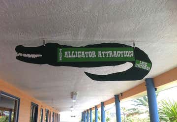 Photo of The Alligator Attraction